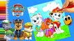 Coloring Paw Patrol coloring pages Everest Skie Marshal Crayola washable markers ❤ KOKI DISNEY TOYS