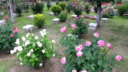 Şehir Mezarlığı Peyzajıyla Örnek Oluyor