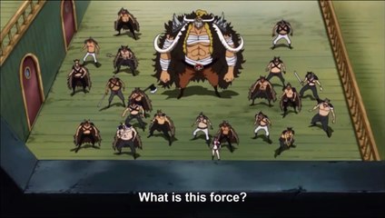 Jack The Drought Vs. Zunisha (Zou Elephant)! One