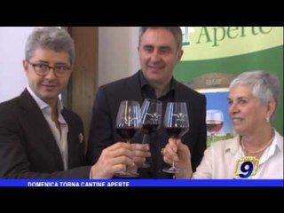 Domenica torna "Cantine aperte"