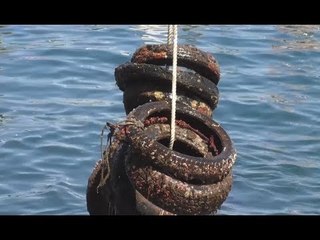 Napoli - Mare pulito, ripuliti i fondali davanti Nisida (26.05.17)