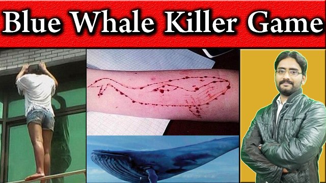 Blue Whale Killer Game | Suicide Game | Blue Whale Game Challenge | Please Stay Away !