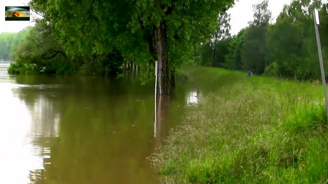 Donau Hochwasser Deggendorf-Metten 04.06.2013 - Danube Flood 04.06.2013-g418mfxl