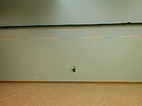 dragonus pro indoor vol dos