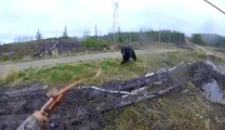 Un chasseur à l'arc croise un ours noir