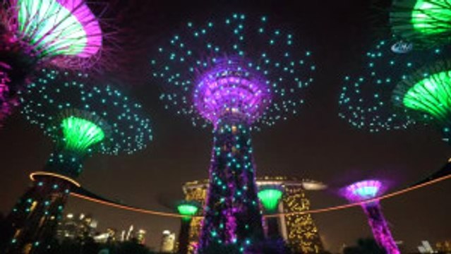 Ağaçların Dansı, İzleyenleri Büyülüyor- Singapur'da Her Akşam Gardens By The Bay'da Yapay Ağaçlarla...