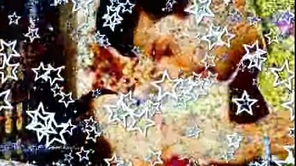 New Punjabi Sad Song -Gippy Grewal