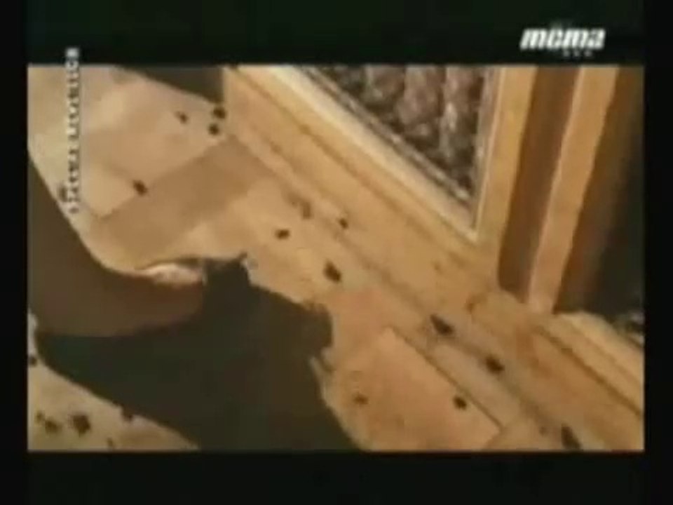 Ah radio nostalgie en voiture