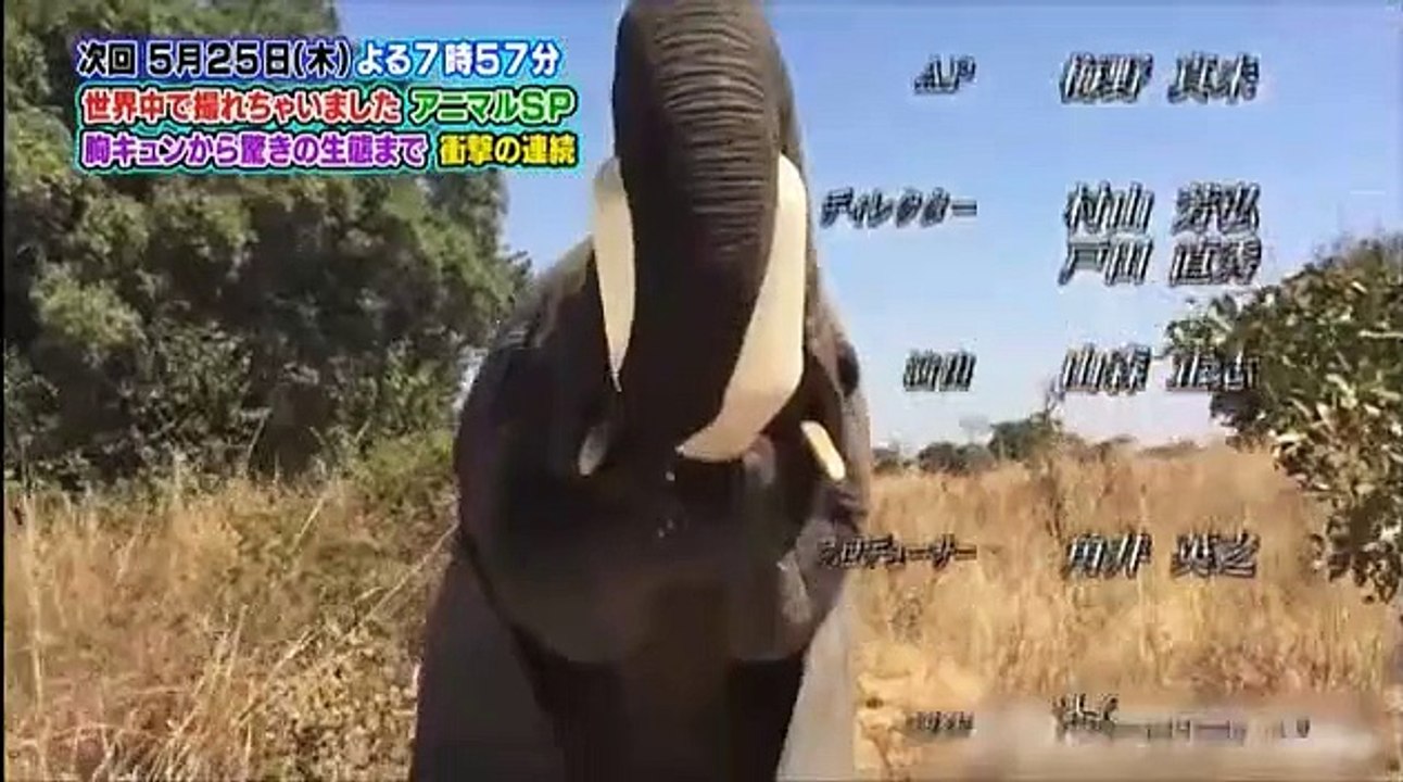 奇跡体験！アンビリバボー  2017年5月18日 part 2/2