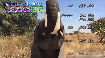 奇跡体験！アンビリバボー  2017年5月18日 part 2/2