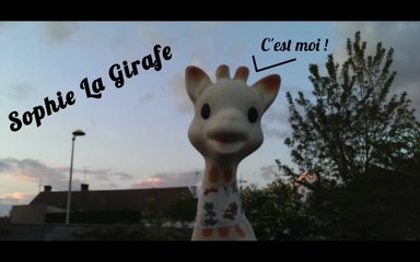 Fiction - Sophie La Girafe