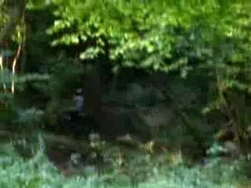 Dirt bike pit bike 2