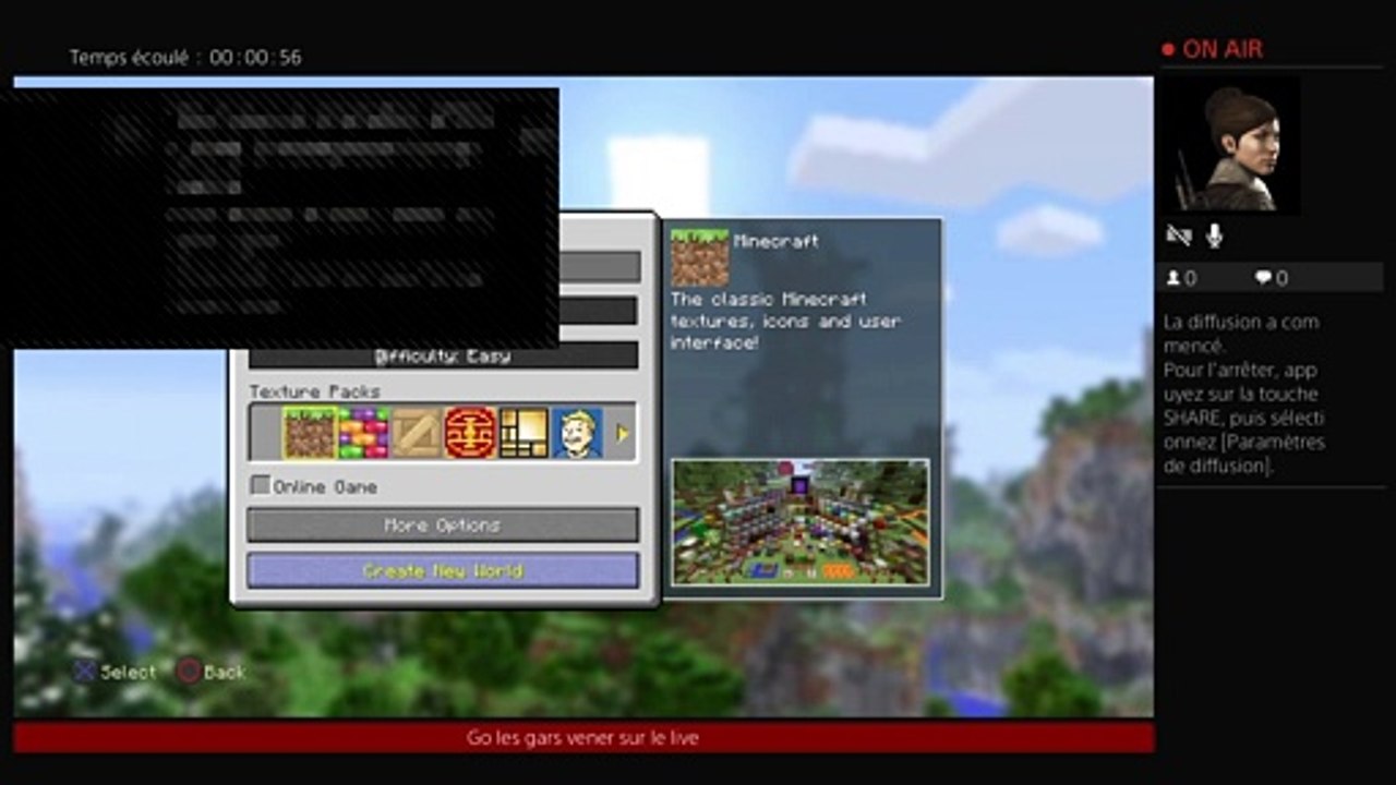 Petit live sur minecraft (14)