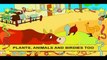 Sun Shine _ Nursery Rhyme With Lyrics,Cartoons movies animated 2017