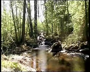 Suomen maisemaalueet  Opettajatv aylefi