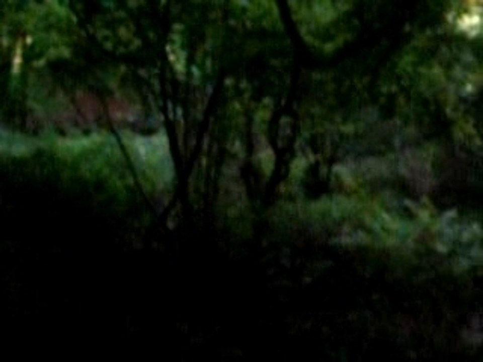 Dirt bike pit bike 4