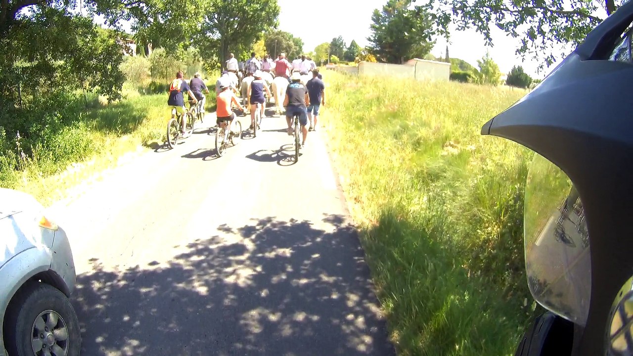 Abrivado Saussines 2017