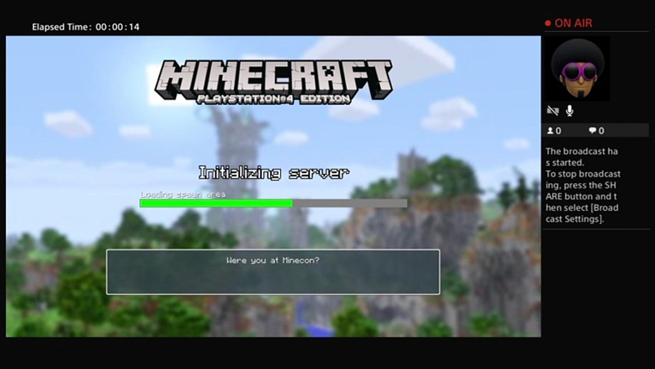 Minecraft livesteam 1