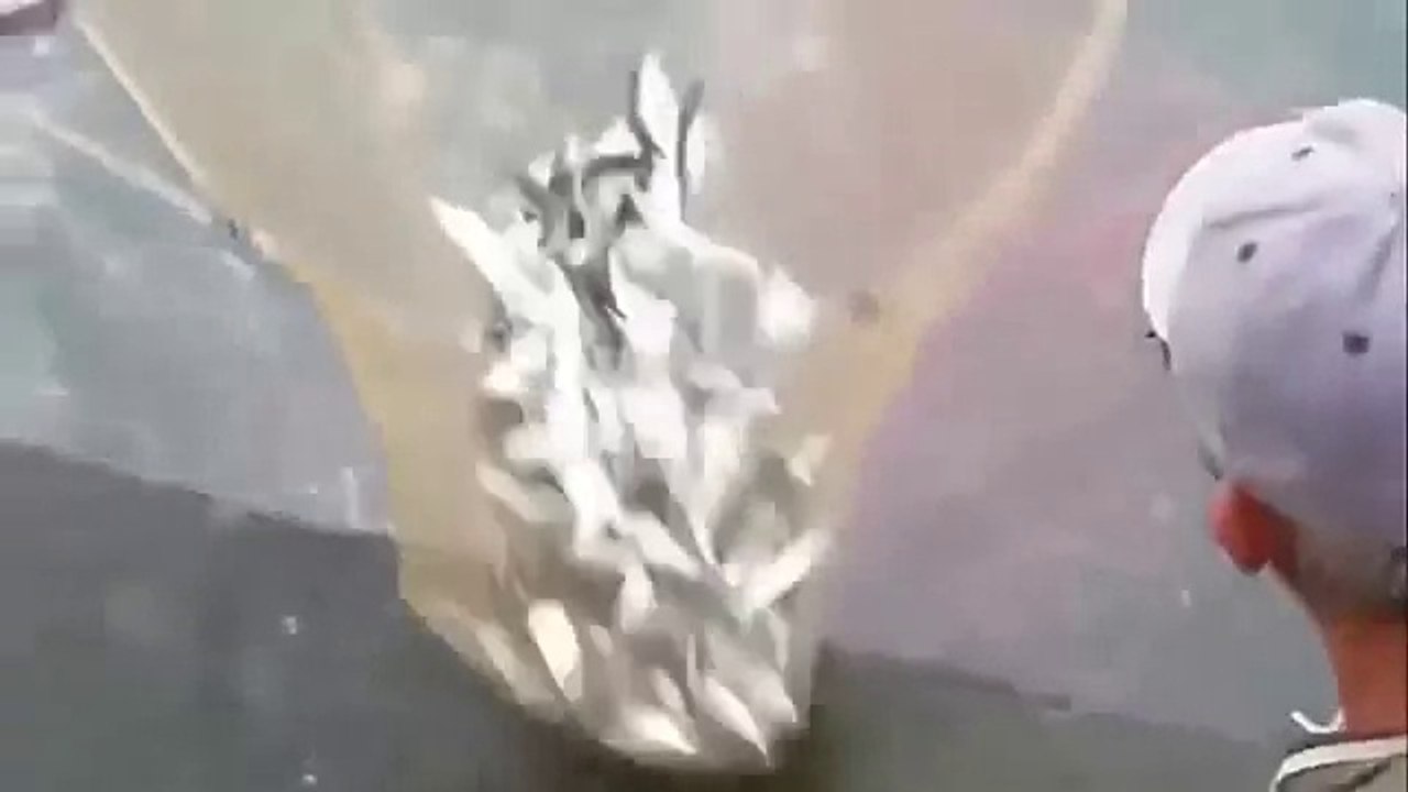 İlginç Balık Avı