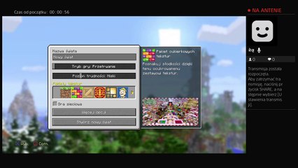 Luźne granie MINECRAFT (6)