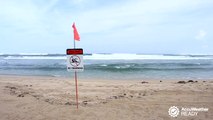 How to spot and survive rip currents