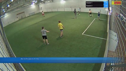 But de Equipe 2 (11-13) - Equipe 1 Vs Equipe 2 - 27/05/17 14:47 - Loisir Poitiers