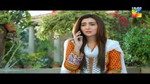 Woh Aik Pal Episode 12 HUM TV 27 May 2017