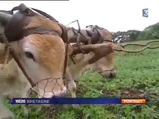 Voila un bel exemple