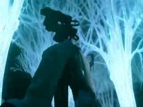 [AMV] Final Fantasy VII Advent Children