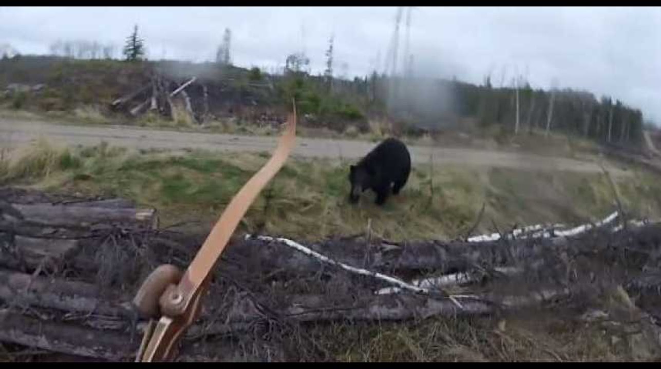 Canada : un chasseur attaqué par un ours, la vidéo choc