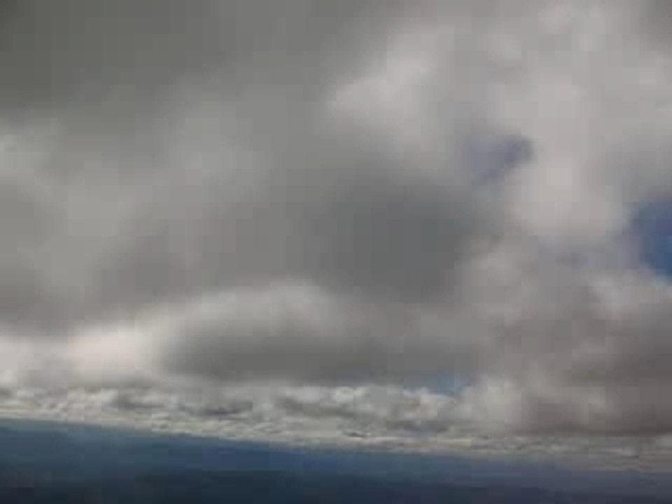 Barbababrau