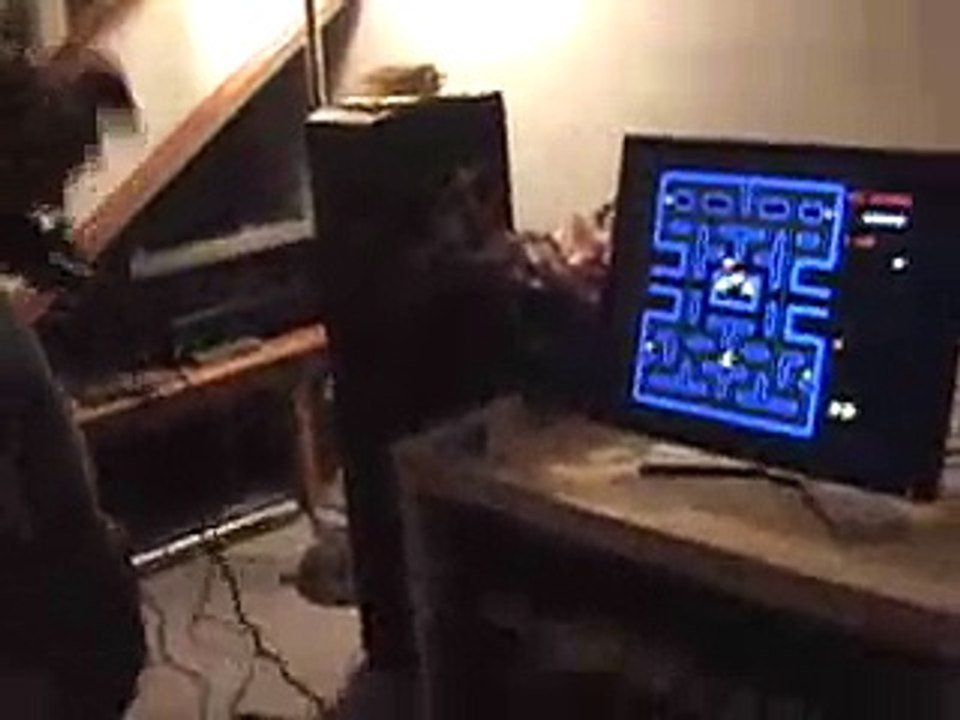 PAC-MAN ZERO: guy gets world's lowest score in pacman- perfect zero