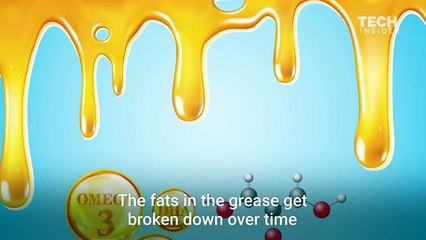 Why you should never pour grease down the drain