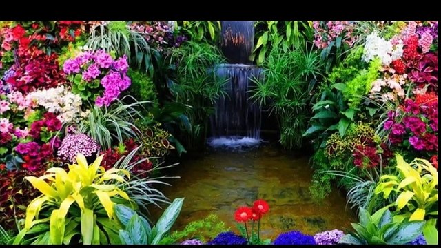 cheb Houari dauphin , الشاب هواري دوفان