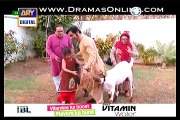 Bulbulay Full