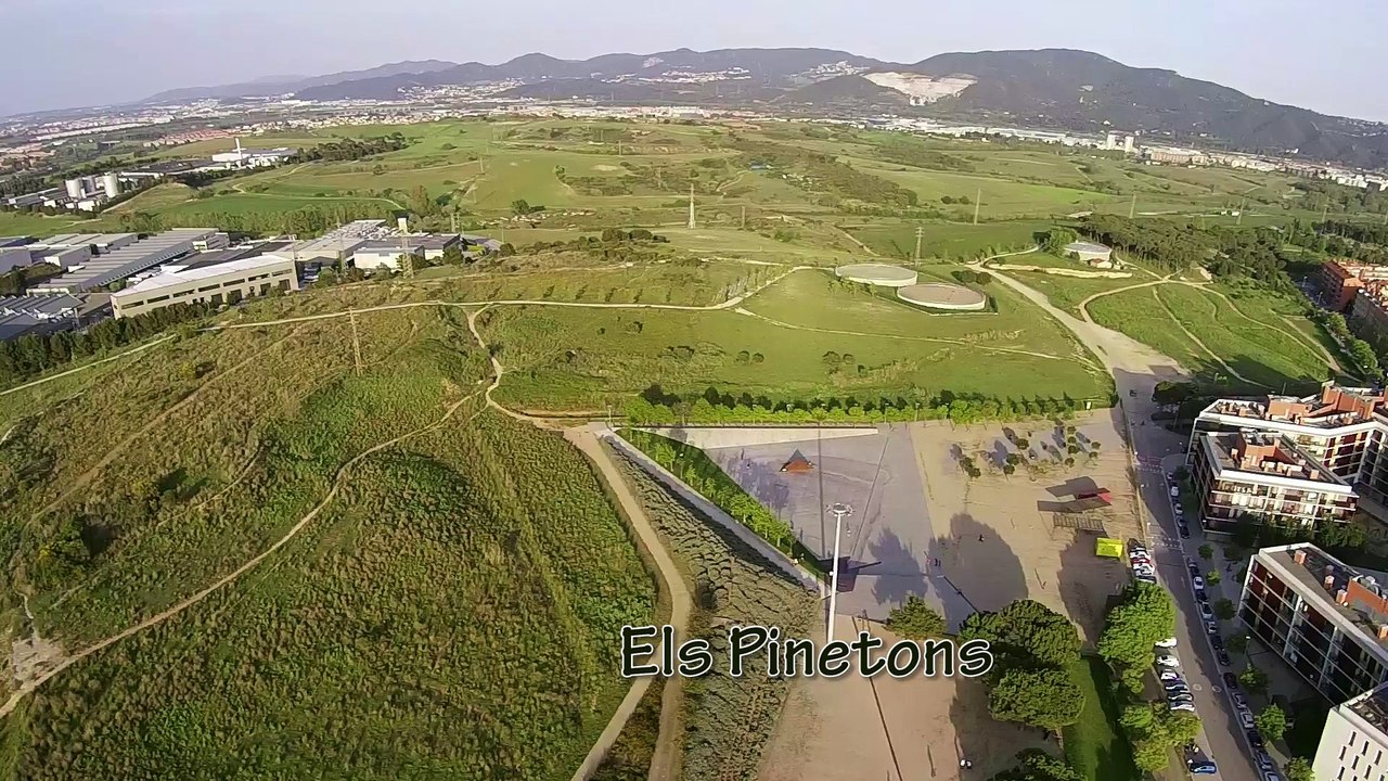 Els Pinetons