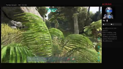 Ark recrute joueur sur serveur officiell (6)