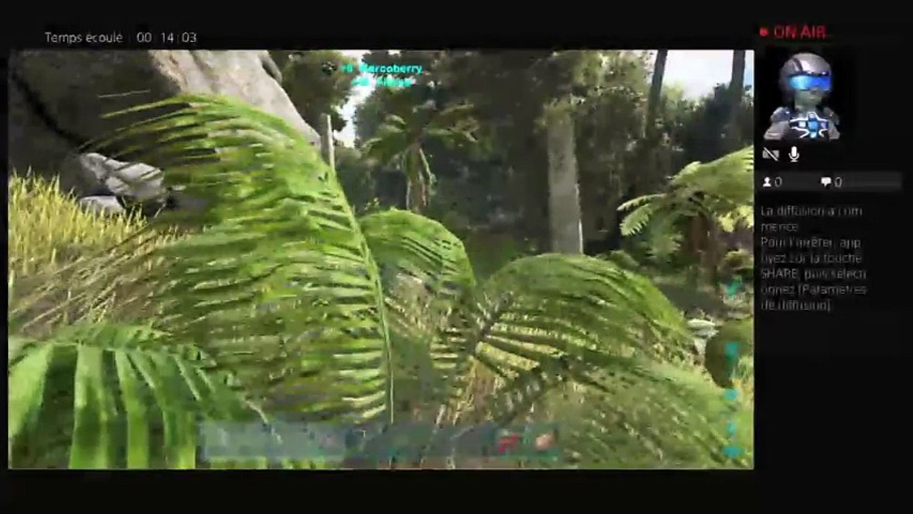Ark recrute joueur sur serveur officiell (6)
