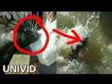 Sea Lion Drags Girl In The Water