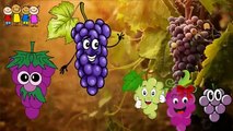Baby Rhymes   Tomato- Brinjal amily Cartoons   Family Rhymes