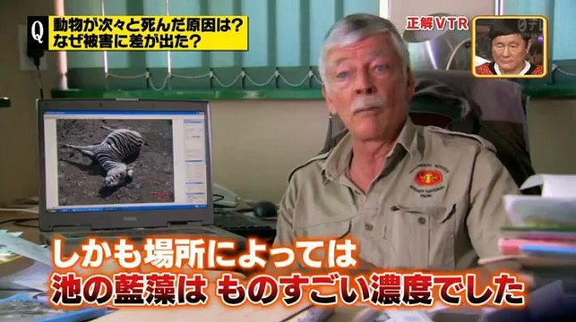 世界まる見え テレビ特捜部 16年12月19日 P1 Part 2 2 Video Dailymotion