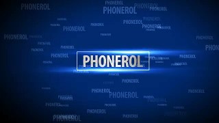 Phonerol - Présentation 2017