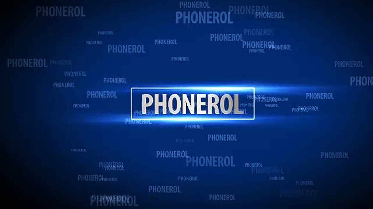 Phonerol - Présentation 2017