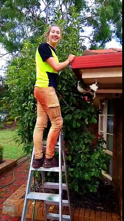 How to unblock downpipes | Blocked Downpipe