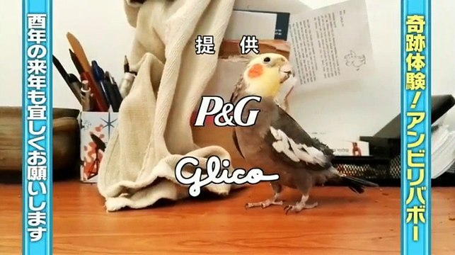 奇跡体験!アンビリバボー　2016年12月15日161215 part 2/2