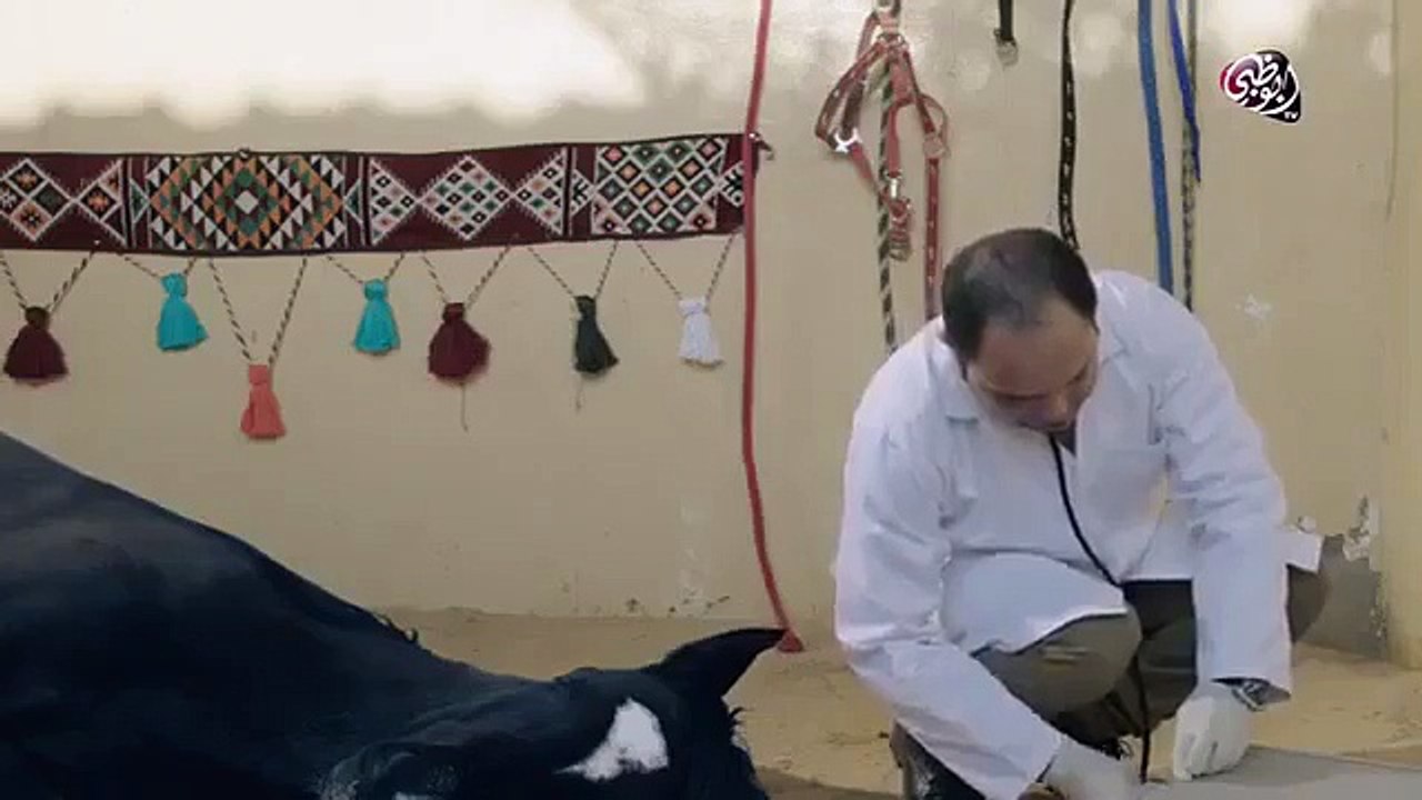 مسلسل قلبي معي الحلقة 1 كاملة