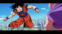 Goku Pierde Vs Majin Bu Flaco - Dragon Ball Super