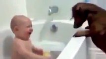 Cute Boy and Laughing dog.... Cute baby ► funny baby videos