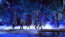 AcroArmy - Acrobats Fly Higher Than a Tree Topper - America's Got Talent 2016-uVG