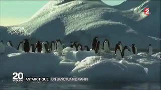 Antarctique  - un sanctuaire marin exceptionnel-2c0G6RkQ2KA